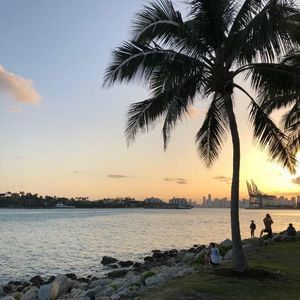 Meet your Posher, Jesse